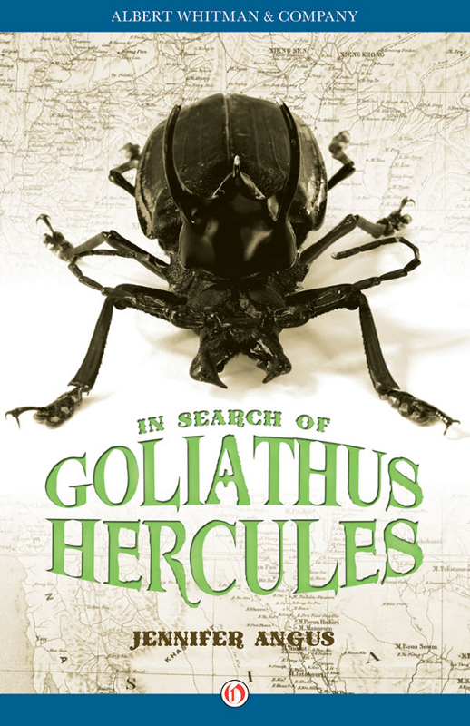 In Search of Goliathus Hercules by Jennifer Angus