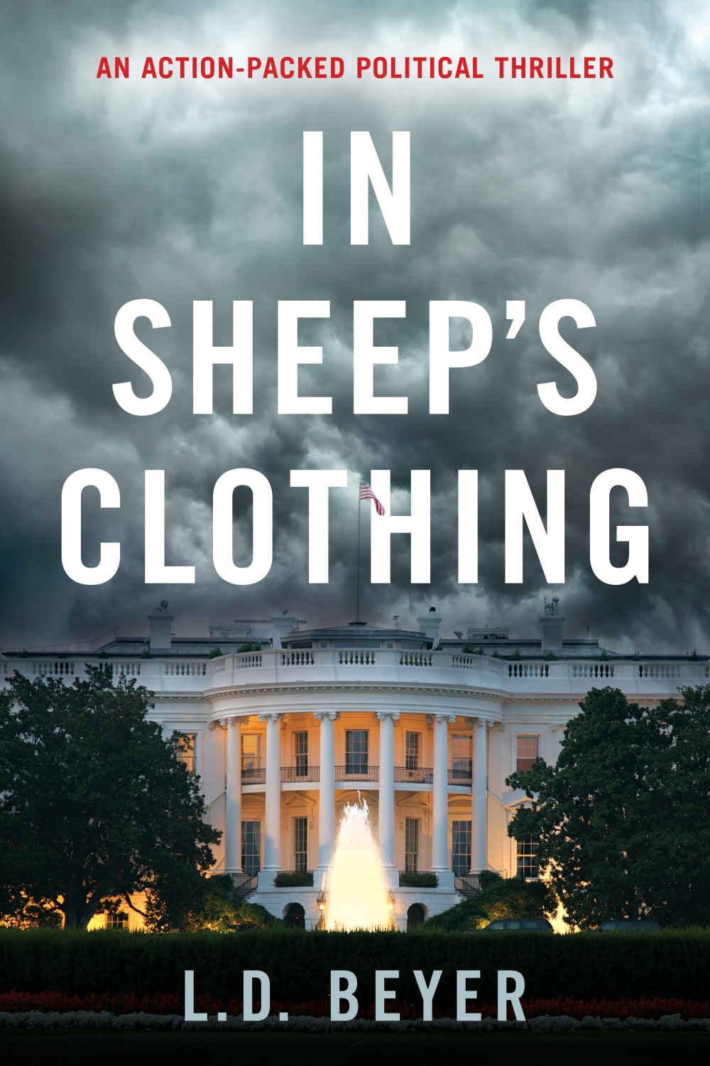 In Sheep's Clothing: An Action-Packed Political Thriller (Matthew Richter Thriller Series Book 1) by L.D. Beyer