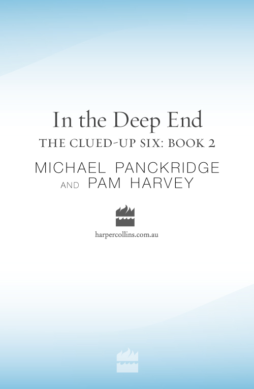 In the Deep End by Pam Harvey