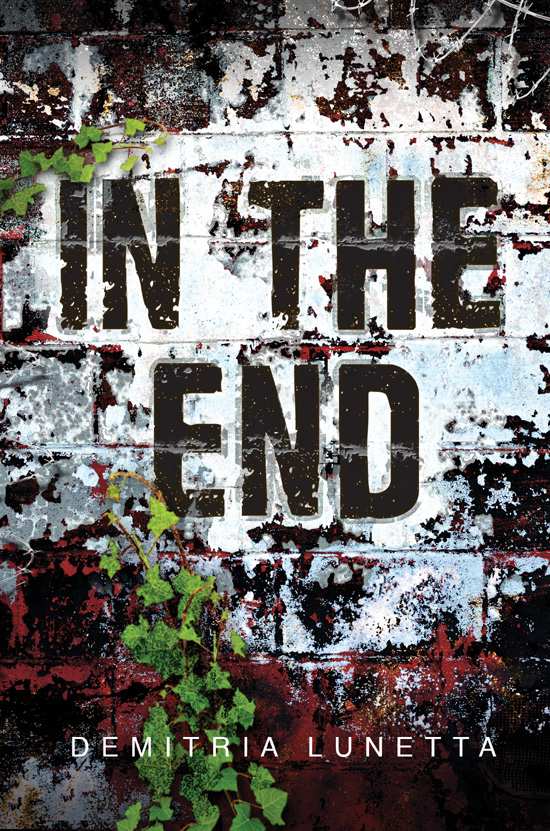 In the End (Starbounders) by Demitria Lunetta