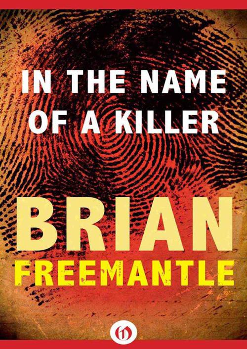 In the Name of a Killer by Brian Freemantle