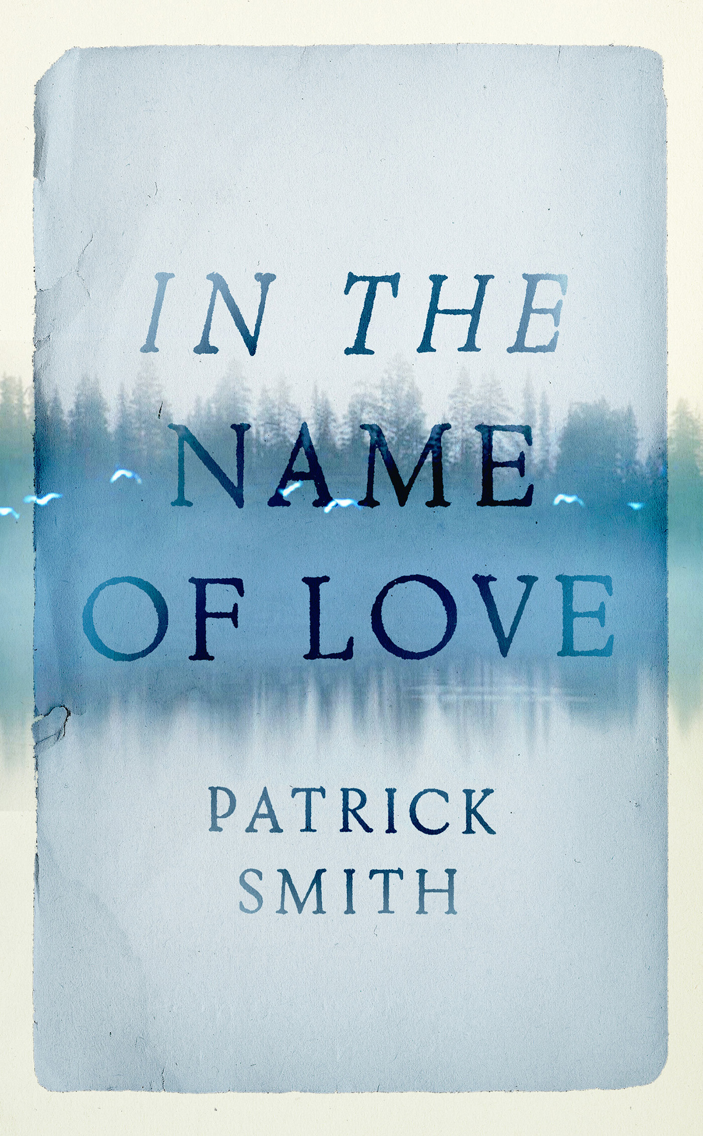 In the Name of Love by Smith, Patrick