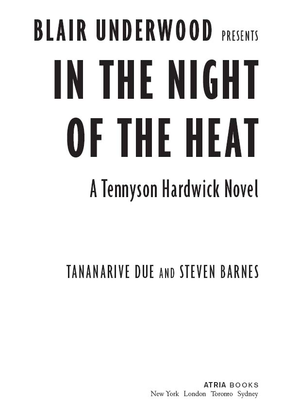 In the Night of the Heat (2008)