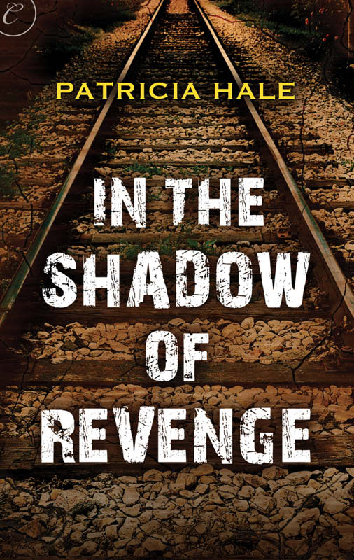 In the Shadow of Revenge (2013)