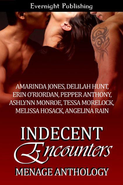 Indecent Encounters by Delilah Hunt