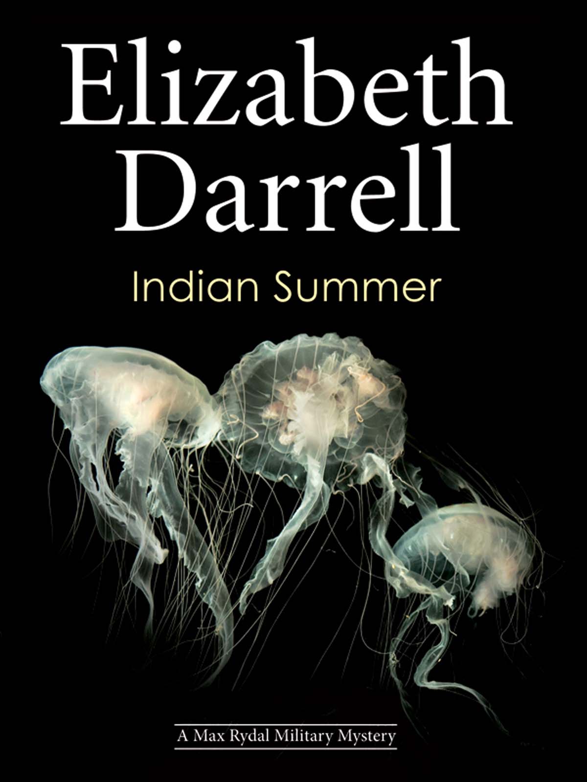 Indian Summer (2011) by Elizabeth Darrell