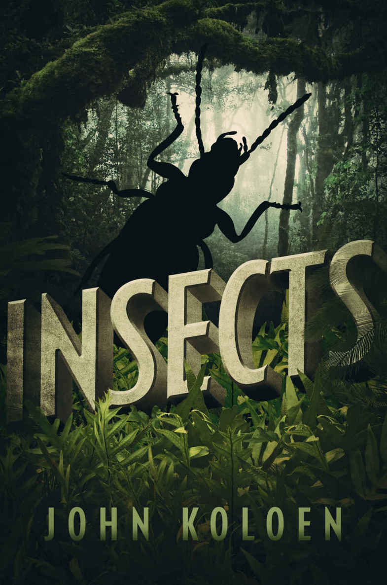 Insects: A Novel by Koloen, John