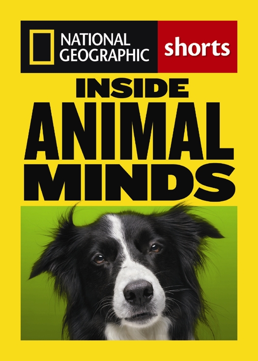 Inside Animal Minds: The New Science of Animal Intelligence (2012) by Virgina Morell, Mary Roach, and Peter Miller