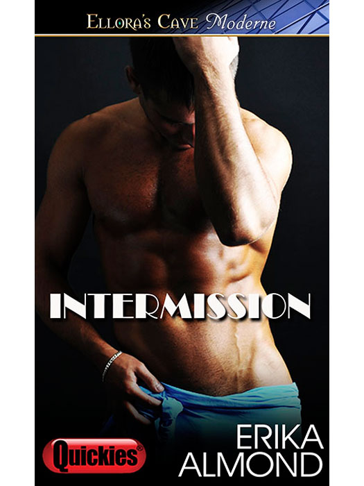 Intermission (2013)