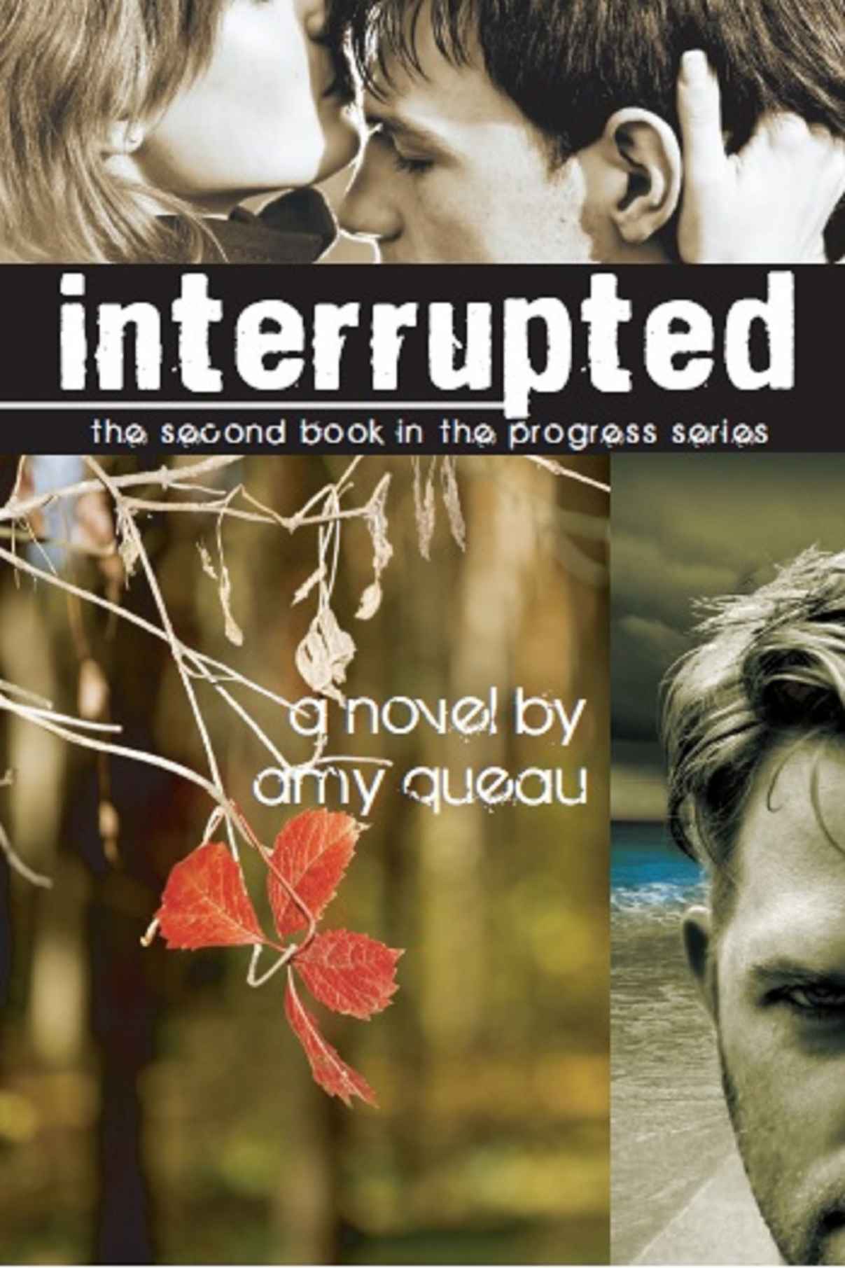 Interrupted (The Progress Series) by Queau, Amy