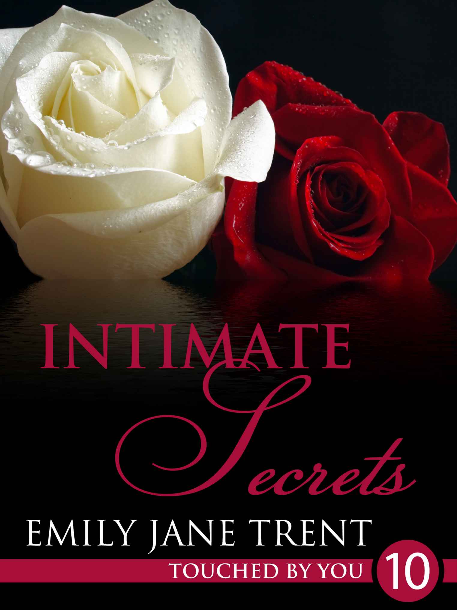 Intimate Secrets: 10 (Touched By You)