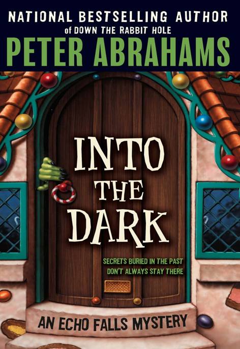 Into the Dark by Peter Abrahams