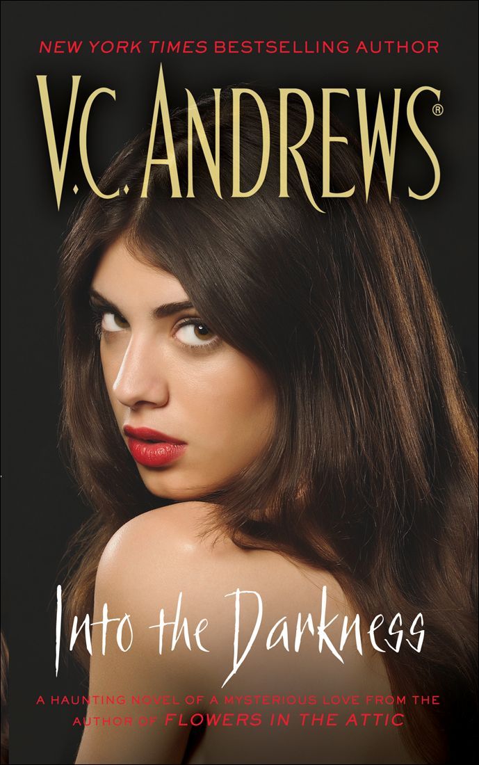 Into the Darkness by Andrews, V.C.