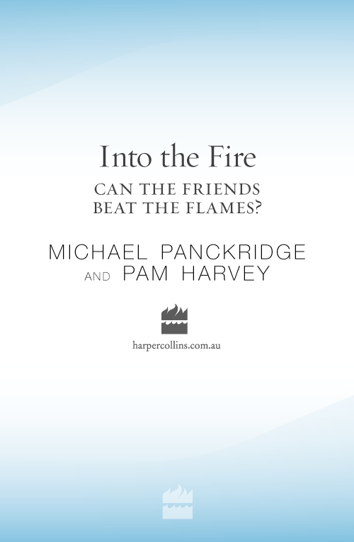 Into the Fire by Pam Harvey