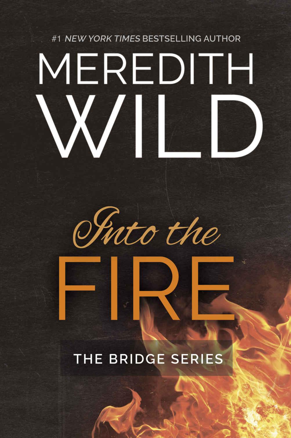 Into the Fire (Bridge Book 2)