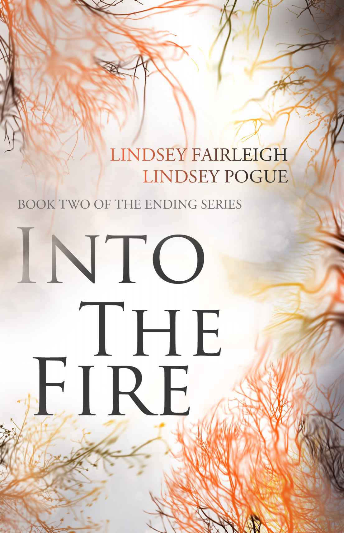 Into The Fire (The Ending Series) by Fairleigh, Lindsey