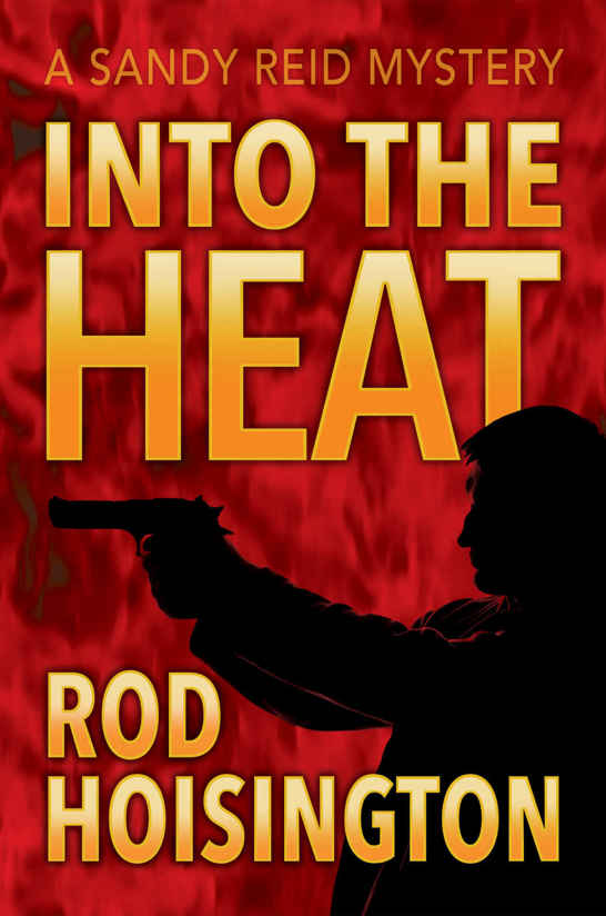 Into The Heat (Sandy Reid Mystery Series Book 6) by Rod Hoisington