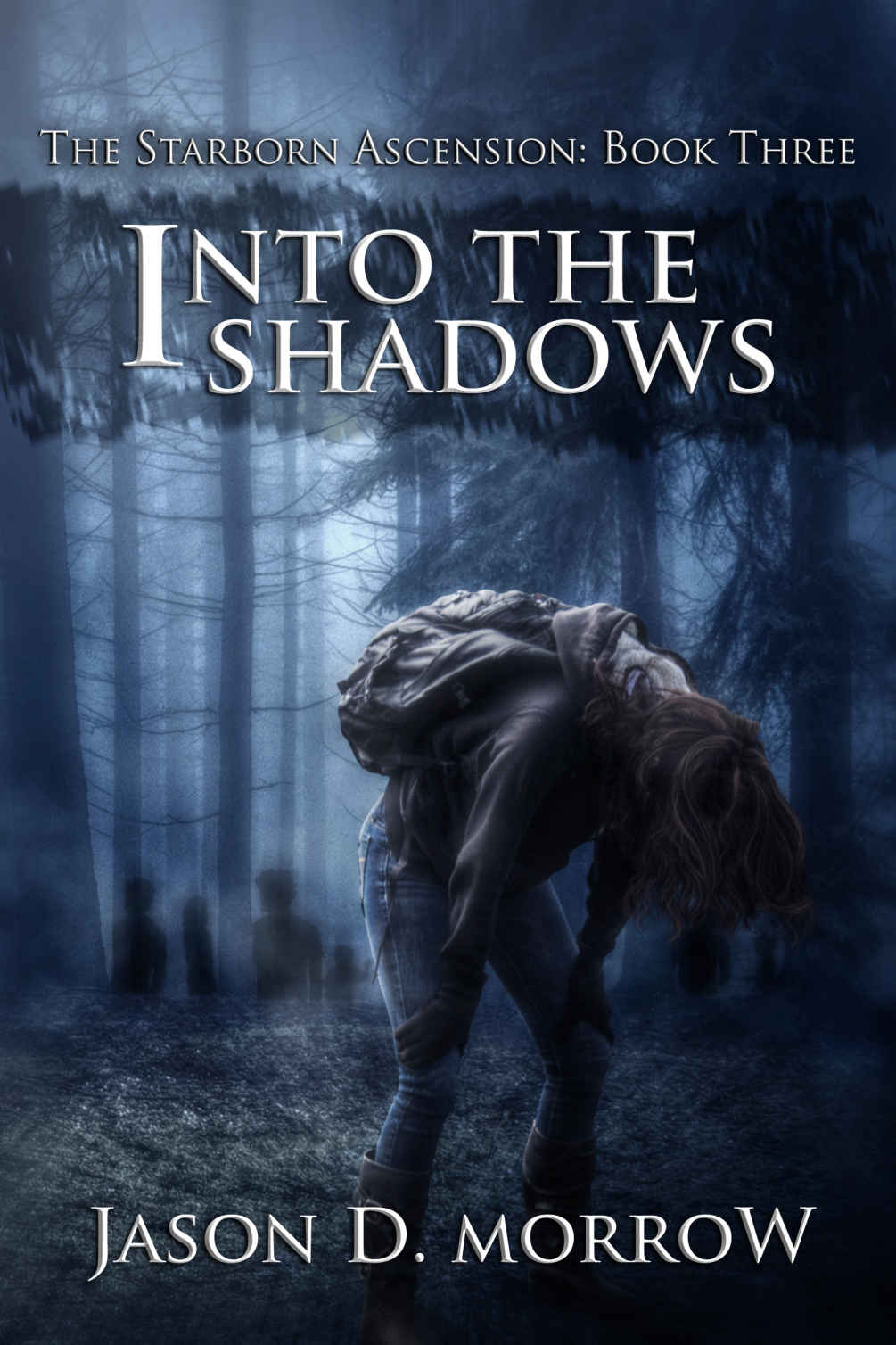 Into the Shadows by Jason D. Morrow