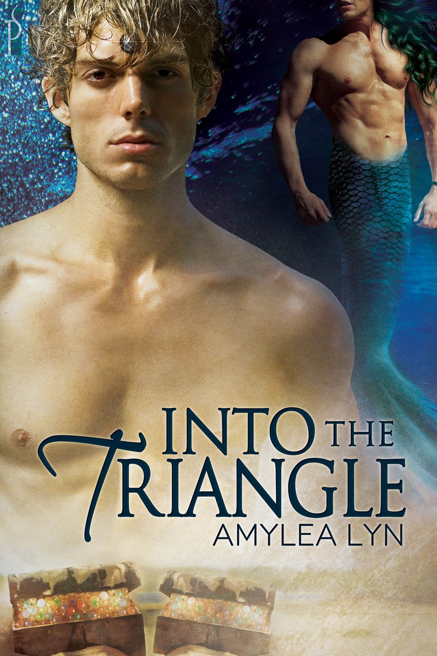 Into the Triangle (2013)