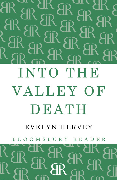 Into the Valley of Death by Evelyn Hervey