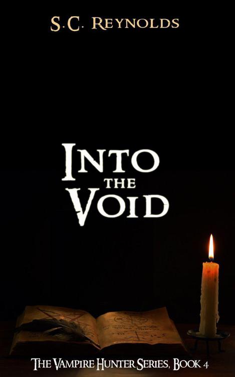 Into The Void (Vampire Hunter Book 4)