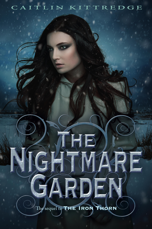 Iron Codex 2 - The Nightmare Garden by Kittredge, Caitlin