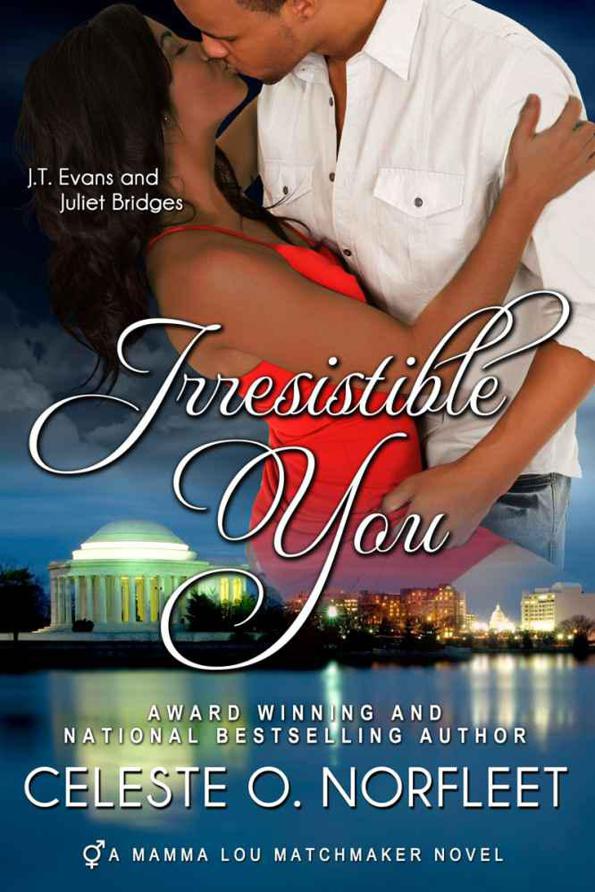 Irresistible You by Celeste O. Norfleet