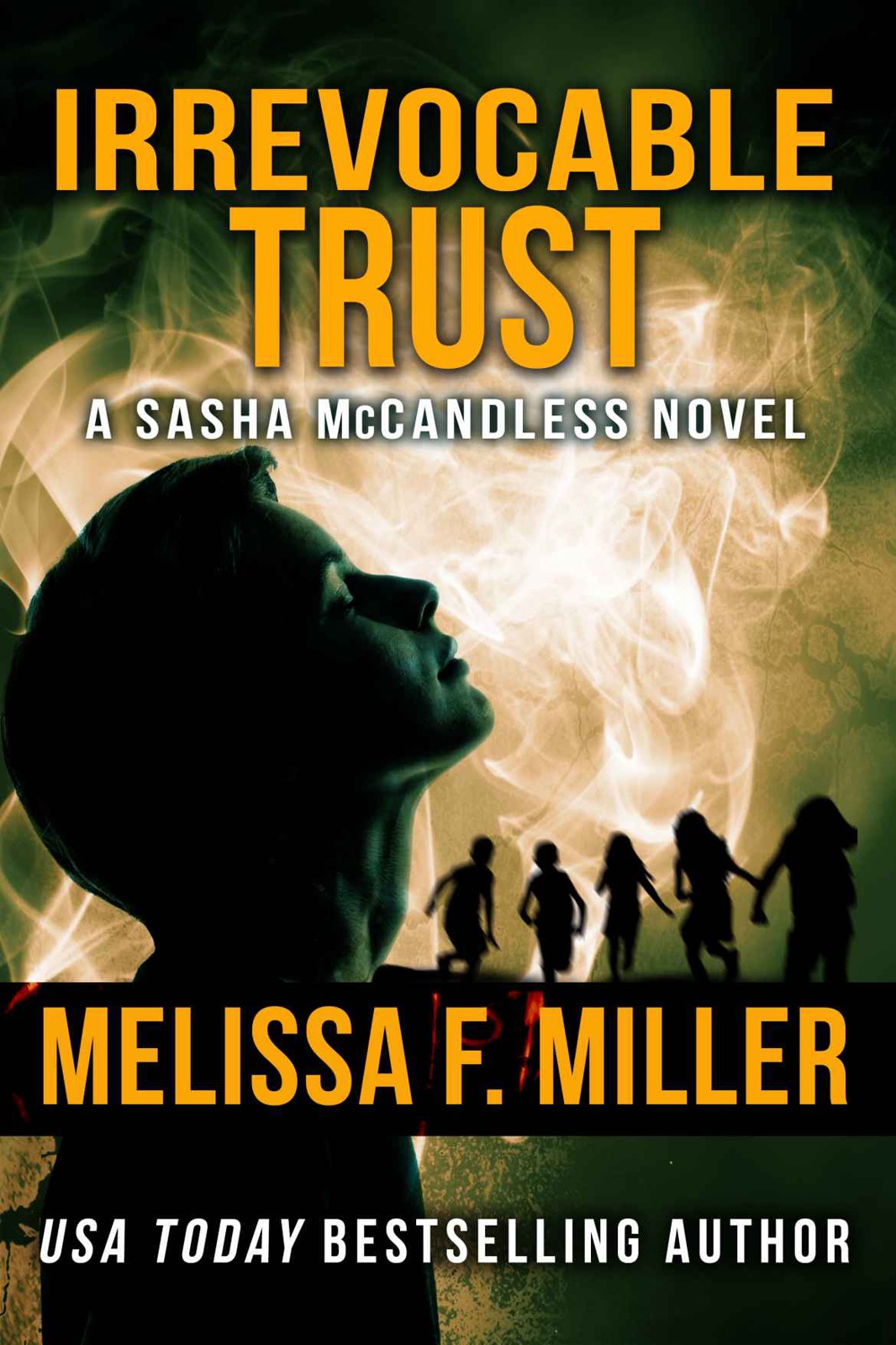 Irrevocable Trust (Sasha McCandless Legal Thriller Book 6) by Melissa F. Miller