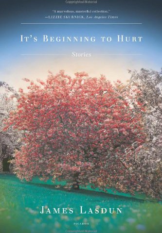 It's Beginning to Hurt: Stories by James Lasdun