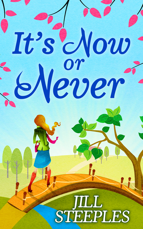 It's Now or Never (2015) by Jill Steeples