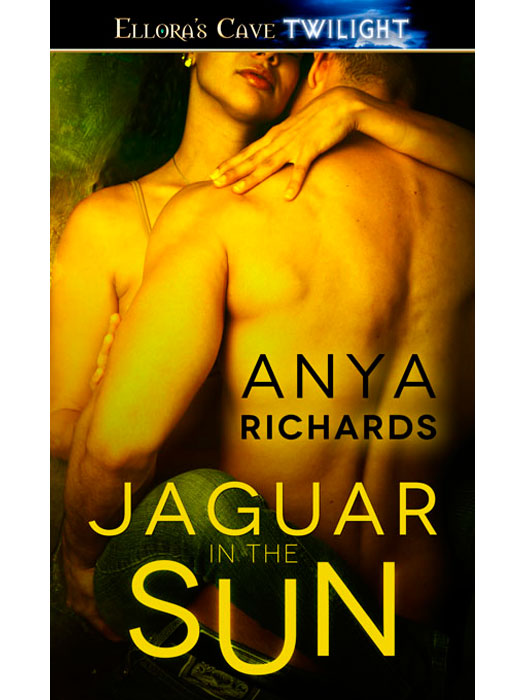 JaguarintheSun by Anya Richards