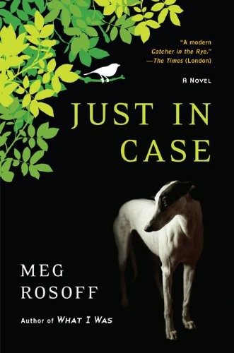 Just in Case by Meg Rosoff