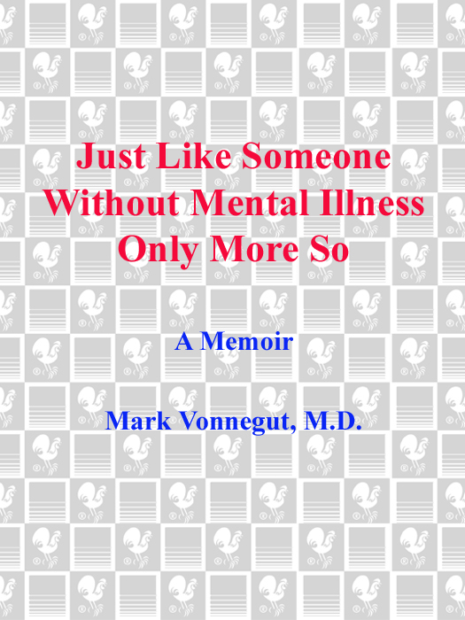 Just Like Someone Without Mental Illness Only More So (2010) by Mark Vonnegut, M.D.