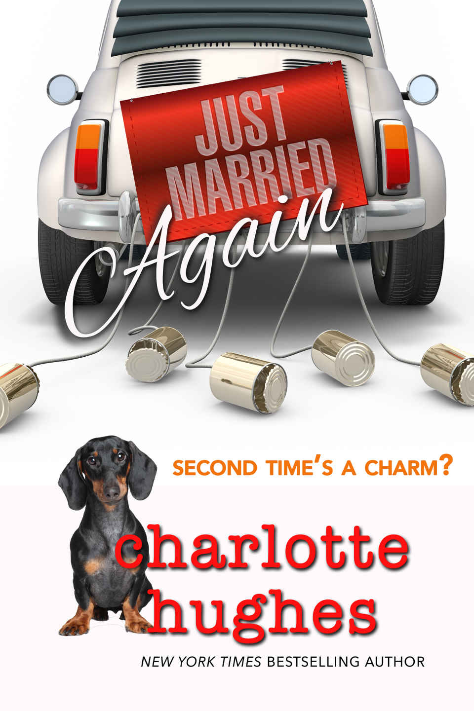 Just Married...Again by Charlotte Hughes