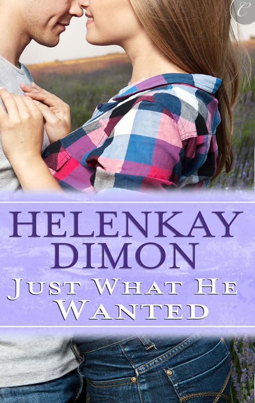 Just What He Wanted (2013) by HelenKay Dimon