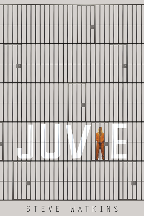 Juvie (2013) by Steve Watkins