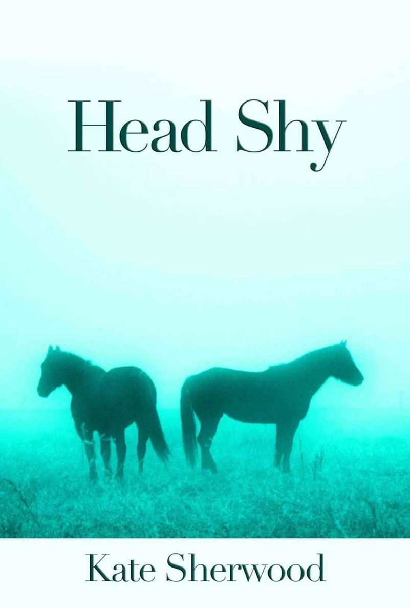 Kate Sherwood - Dark Horse 2.2 - Head Shy by Kate Sherwood