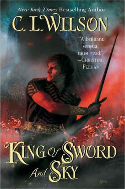 King of Sword and Sky by C. L. Wilson