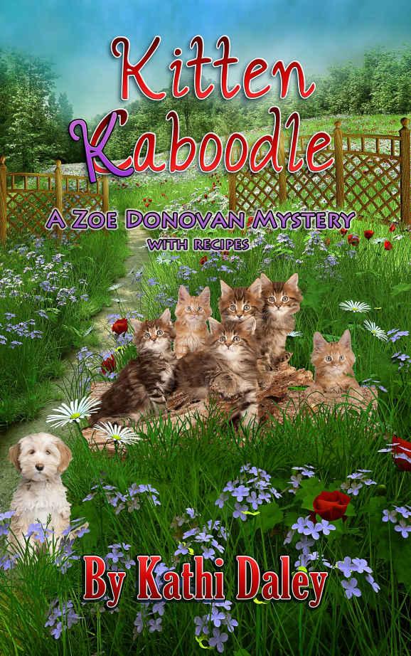 Kitten Kaboodle (Zoe Donovan Mystery Book 20) by Kathi Daley