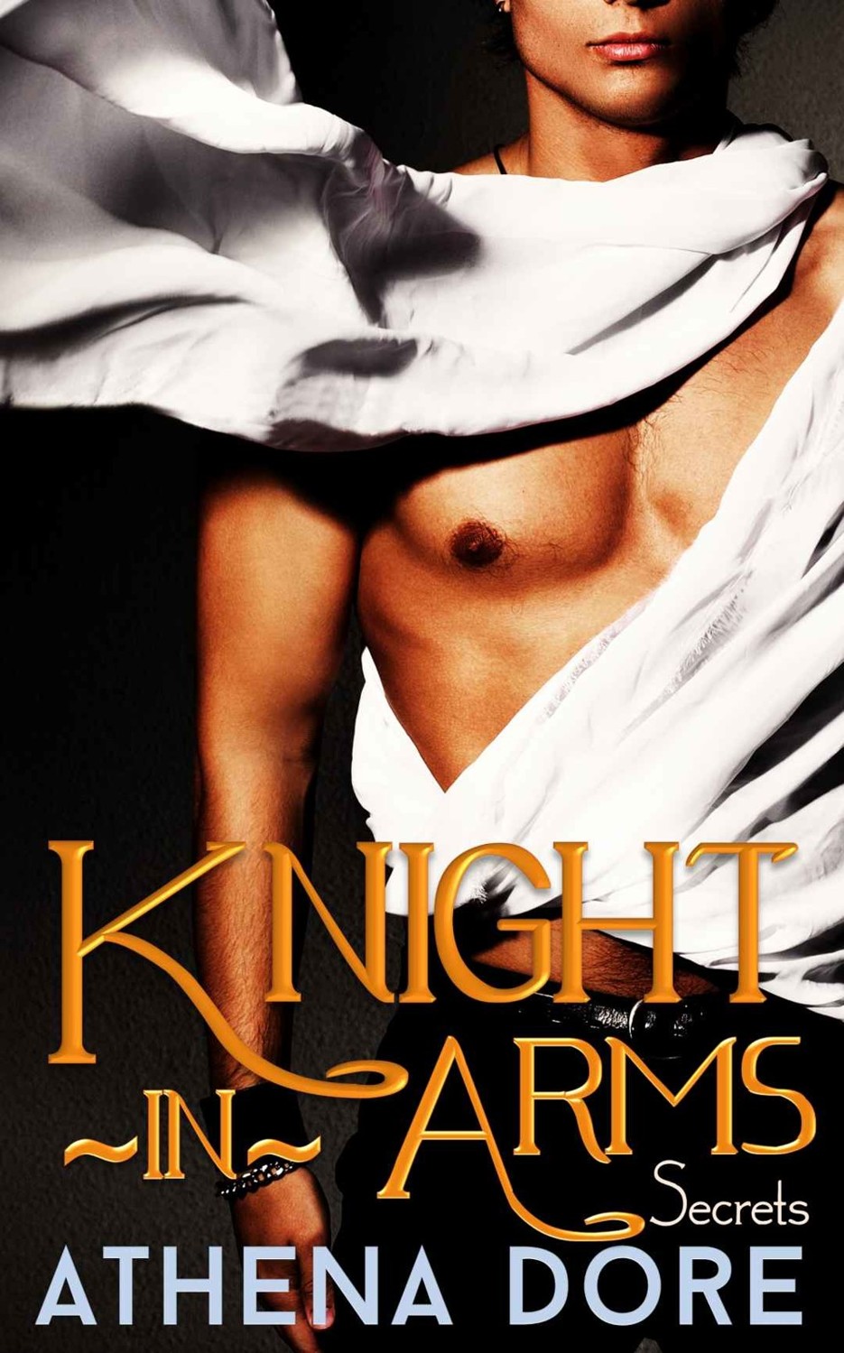 Knight-in-Arms - Secrets: (BWWM Interracial Paranormal Shifter Romance Part One)