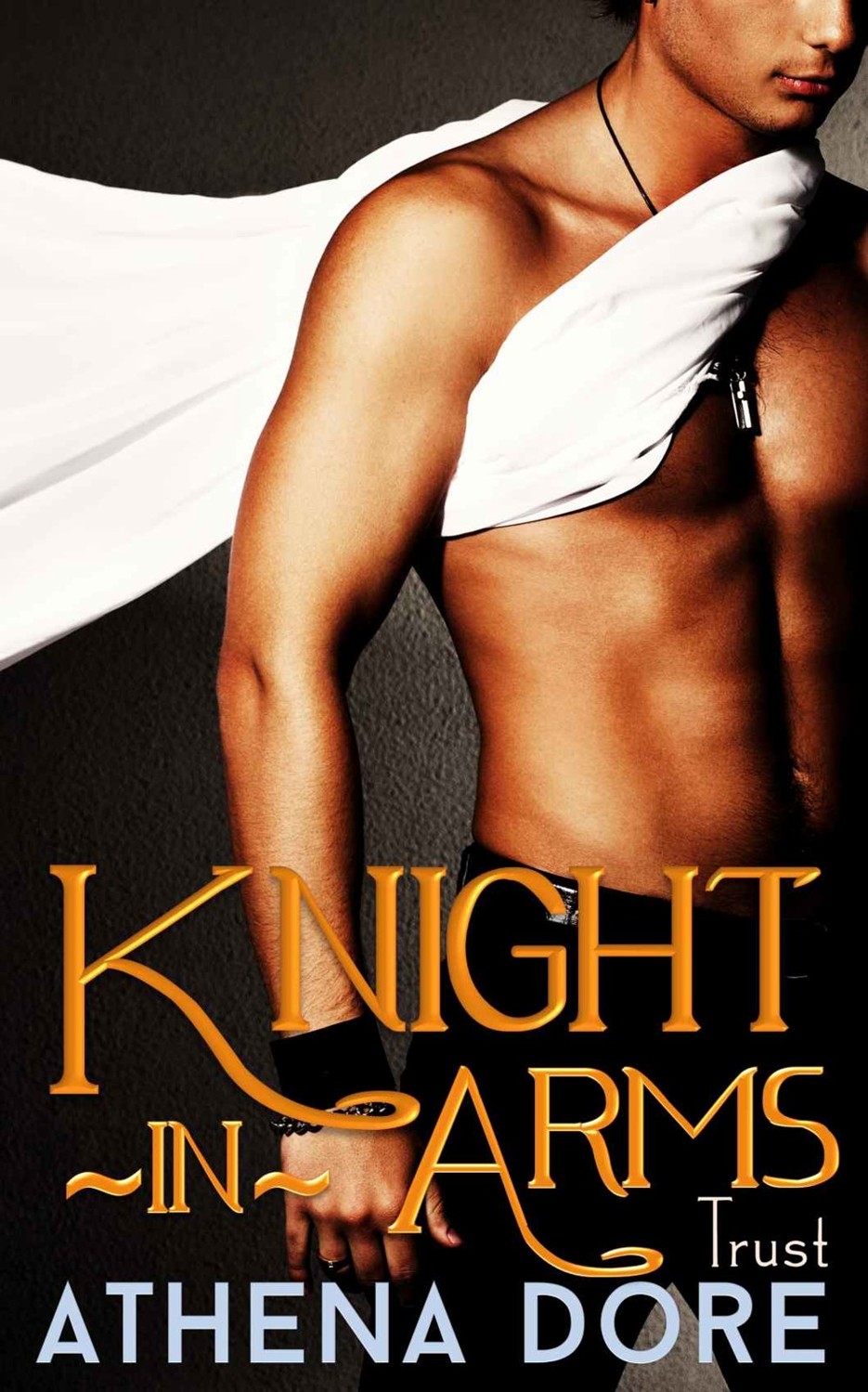 Knight-in-Arms - Trust: (BWWM Interracial Paranormal Shifter Romance Part Two)