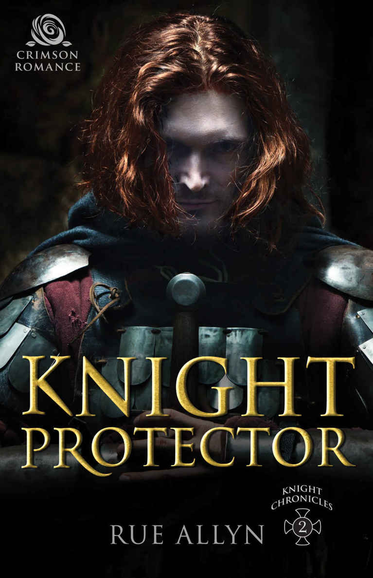 Knight Protector (Knight Chronicles) by Rue Allyn