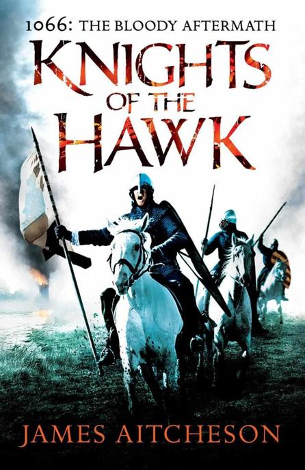 Knights of the Hawk by James Aitcheson