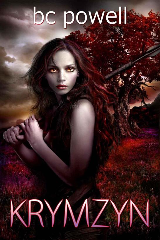 Krymzyn (The Journals of Krymzyn Book 1)