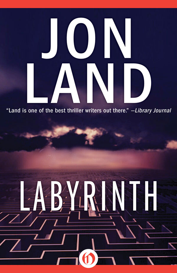 Labyrinth (2010) by Jon Land