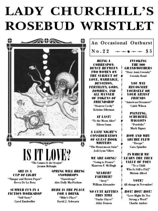 Lady Churchill's Rosebud Wristlet No. 22 by Gavin J. Grant, Kelly Link