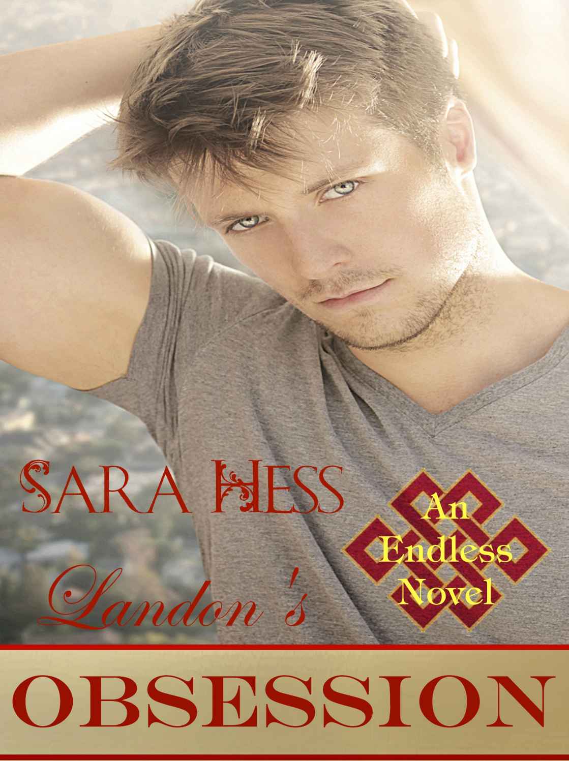 Landon's Obsession: An Endless Series: Book 3 (Series 3) by Sara Hess