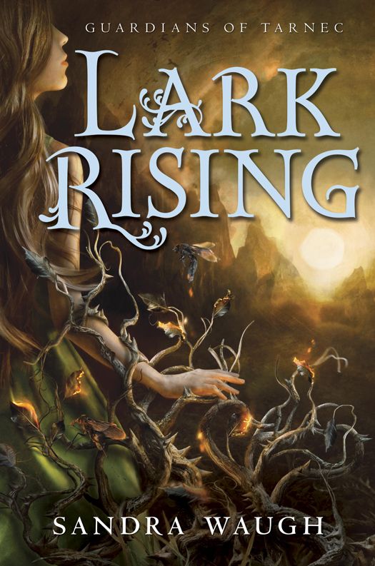 Lark Rising (Guardians of Tarnec) by Sandra Waugh