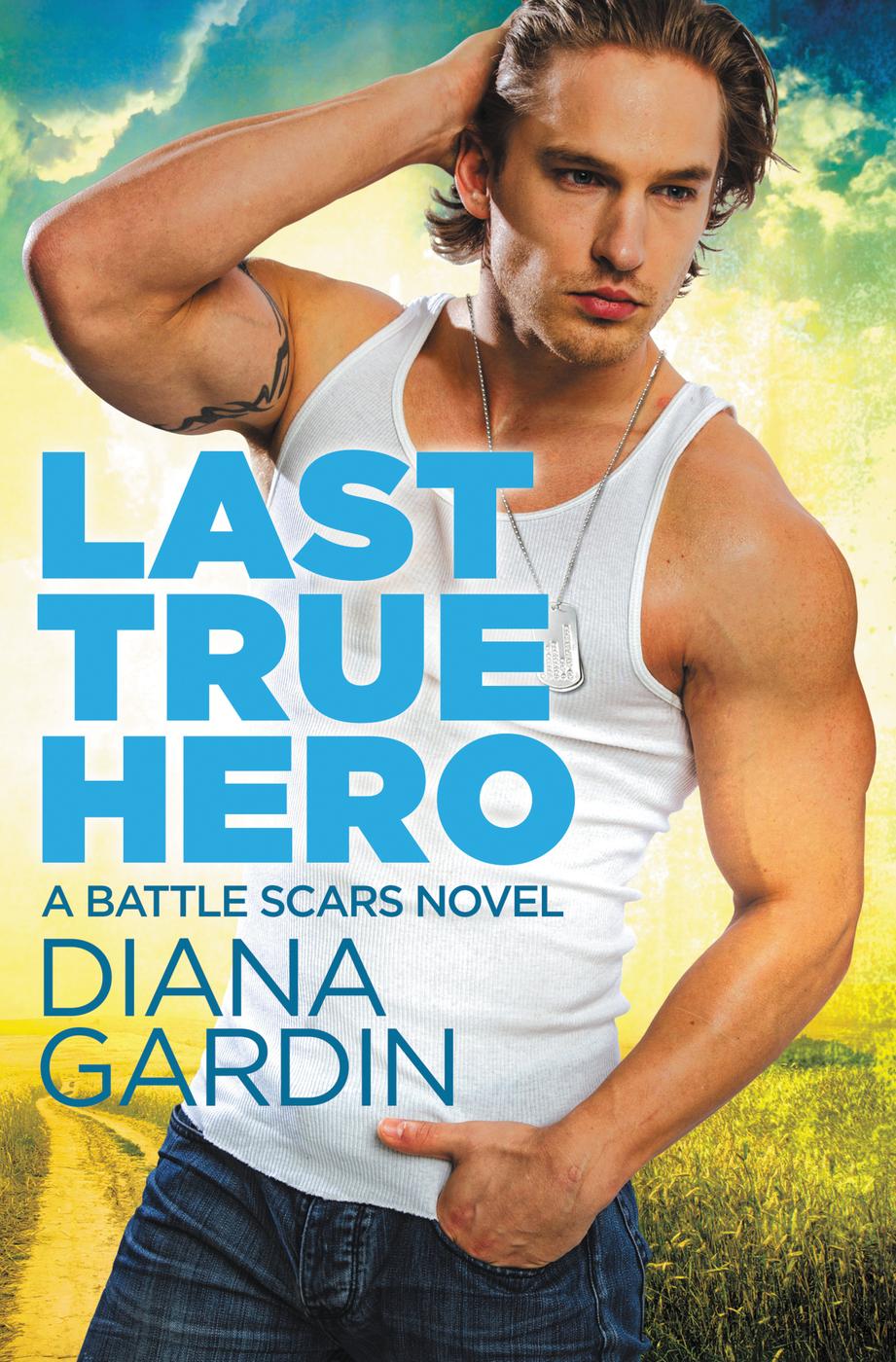 Last True Hero (2015) by Diana Gardin