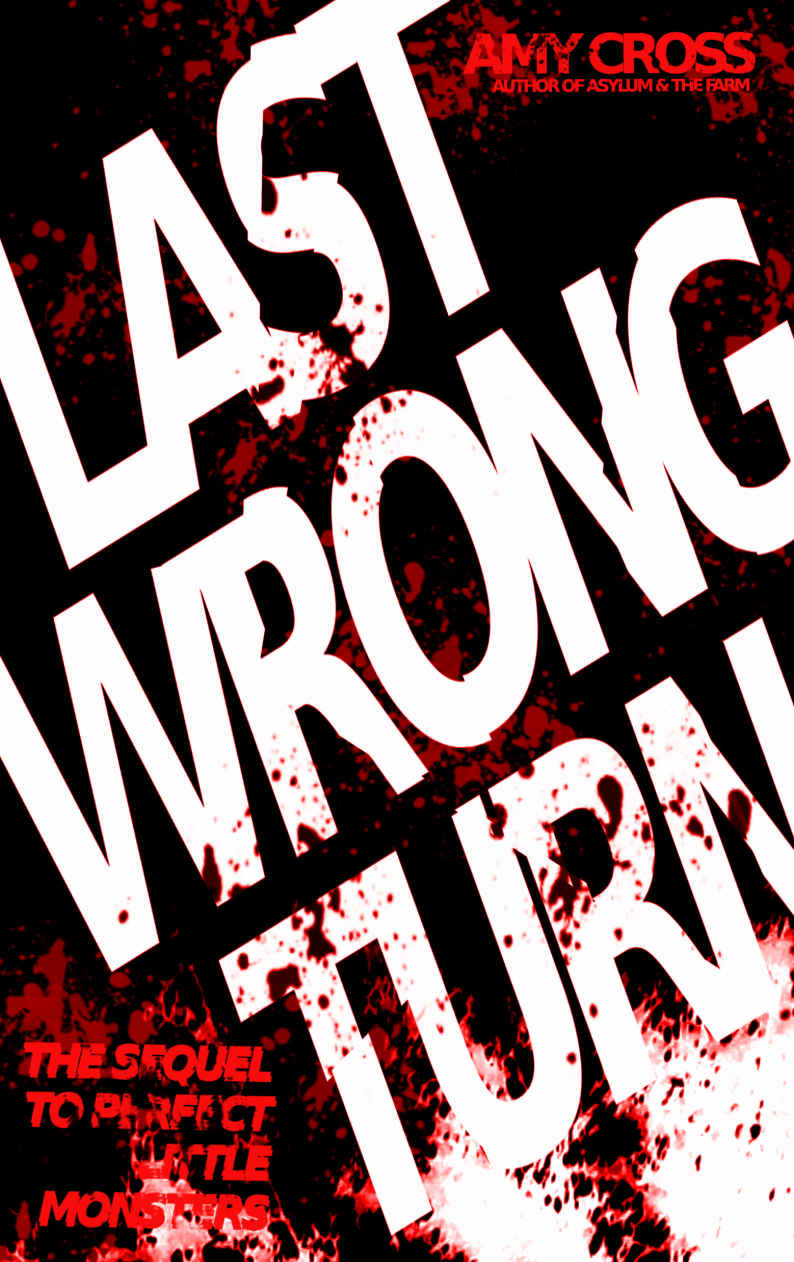 Last Wrong Turn by Amy Cross